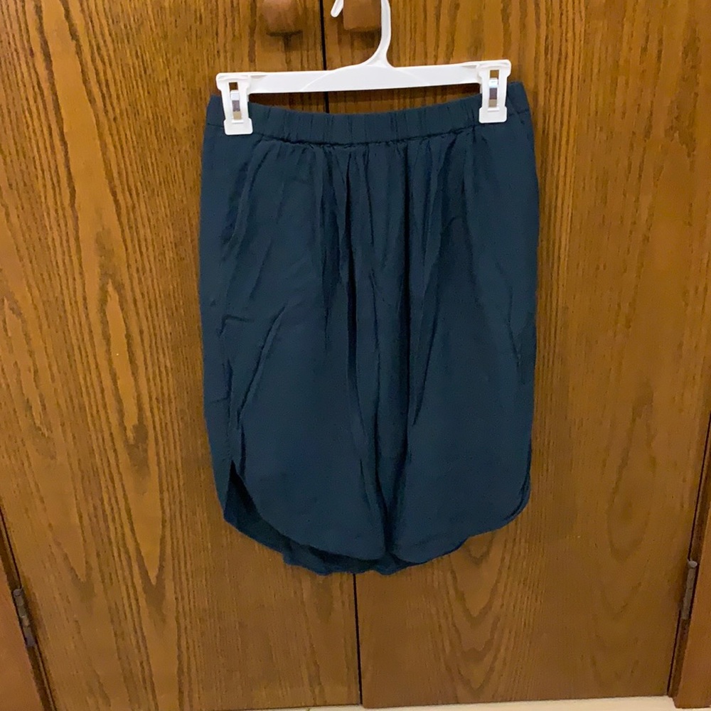 Madewell blue skirt